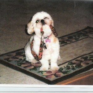 Meet your Posher, Kay